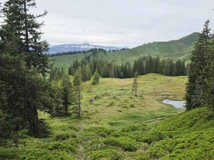 Foto de Gudrun Lippert a lo largo del recorrido