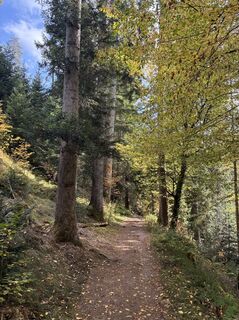 Photo de Wanderelch le long du parcours