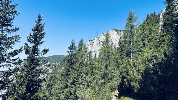 Fotografija s spletne strani Peter Kueß na poti