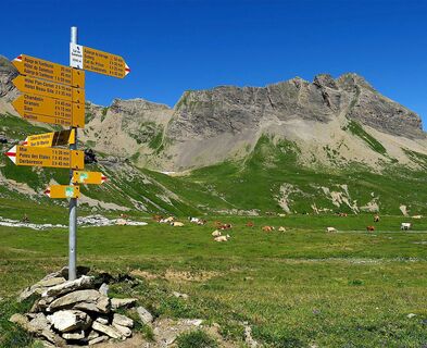 Col du Sanetsch.