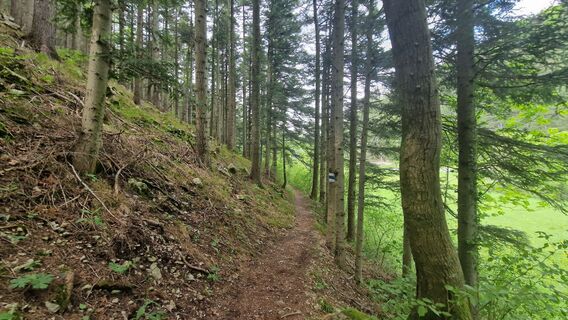 Foto de EP87 a lo largo del recorrido