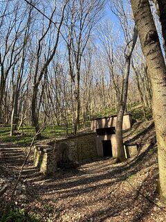 Foto de RS76 a lo largo del recorrido