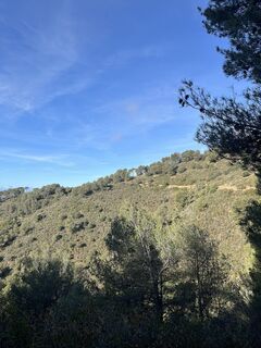 Foto från Hanna Sommersacher under resans gång