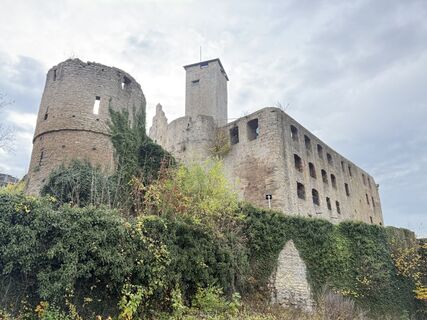 Foto da Norbert Herbig lungo il tour