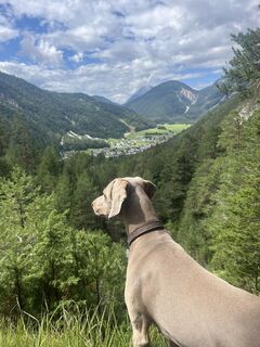 Foto von Thomas Schlüter 3 entlang der Tour