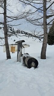 Foto de Sophiehedo a lo largo del recorrido