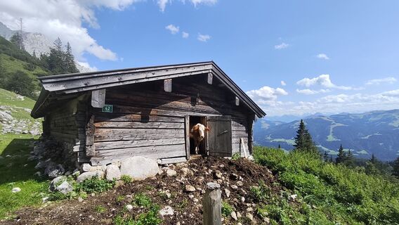 Fotografia z Željko Golić na trase