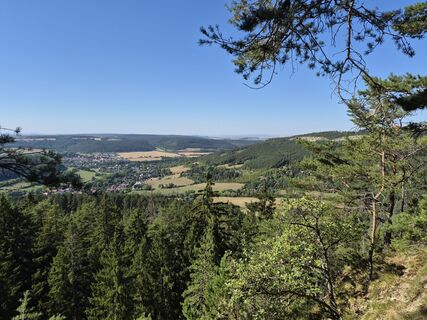 Foto von Wollomator entlang der Tour