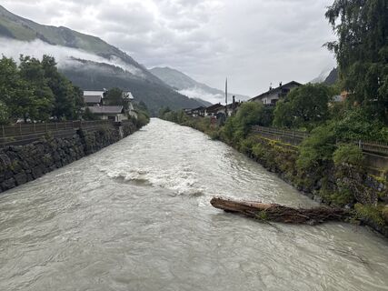 Foto von Grizzli entlang der Tour