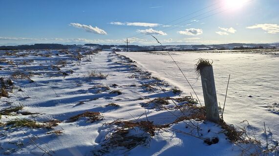 Foto de HeleneEcker a lo largo del recorrido