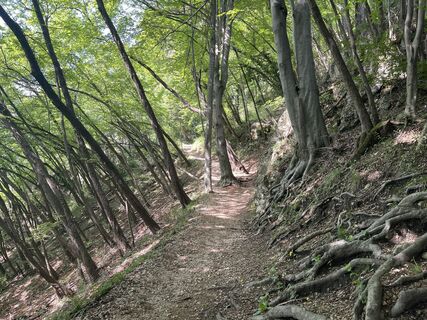 Foto von Thomas Bodmer entlang der Tour