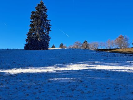 Photo de Egnerute le long du parcours