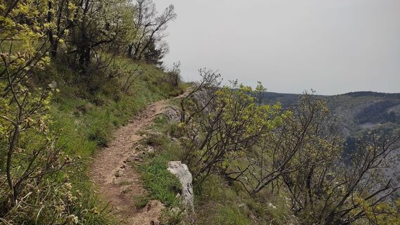 Fotografia z WilliSt na trase