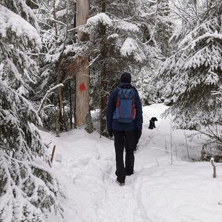 Joutsijärven Naturpfad