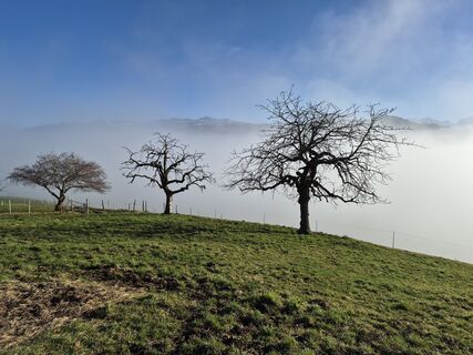 Foto von Günther Von Mühlenen entlang der Tour