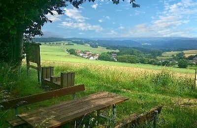 Eifelblick Schafsbenden