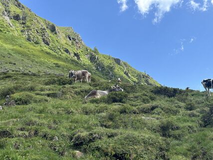 Foto von Robert Meier entlang der Tour