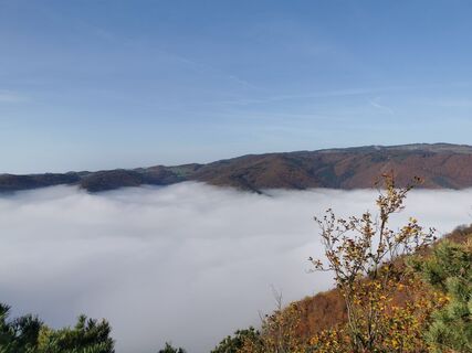 Foto von Michael Spranger entlang der Tour