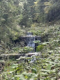 Foto von Dirk van Helmond entlang der Tour