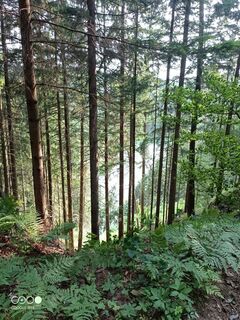 Fotografia z Hans-Dieter von Josef na trase