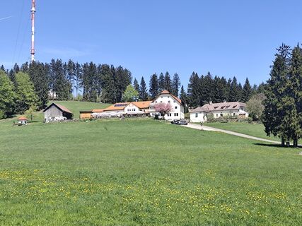 Foto von Edith K. entlang der Tour