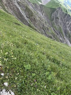 Fotografija s spletne strani Rolf Knecht na poti