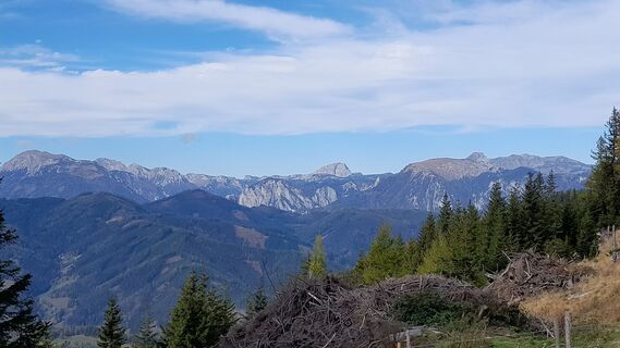 Fotografia z Michael T 3 na trase