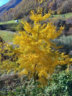 Foto von RedFerdi entlang der Tour