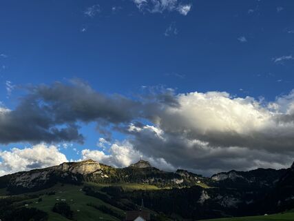 Foto da Zellwegerroger lungo il tour