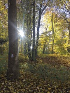 Herbstlicher Stadtpark in Eisenach