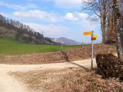 Fotografia z Jwemmenhove na trase