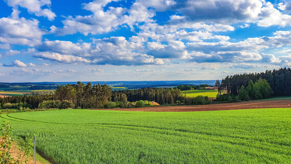 Ausblick
