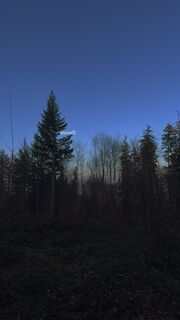 Fotó a robin Zuhn honlapról a túra során