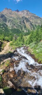 Fotografija s spletne strani Laura Gasparotto na poti
