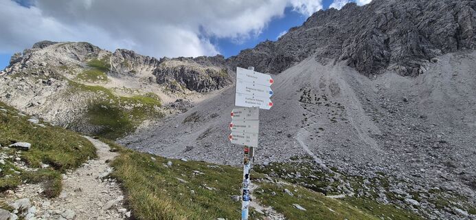 Foto de Alfin a lo largo del recorrido