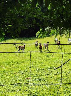 Fotografia z stuebi na trase