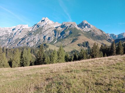Foto de handshifter a lo largo del recorrido