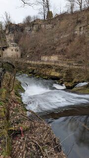 Fotografia z hochlandfamilie na trase