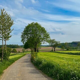 20220512_Jagdhornweg_Valbert (4).jpeg