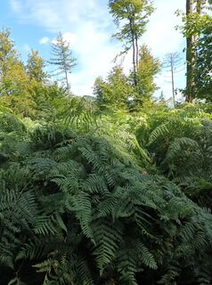 Zdjęcie z Gürtler Lubomir wzdłuż trasy