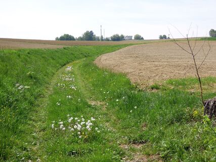 Der Weg