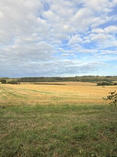 Photo de M2504 le long du parcours