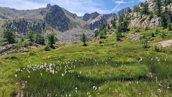 Fotografia z Fabrizi Mellano na trase