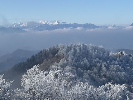 Fotografija s spletne strani Borut Korošec na poti