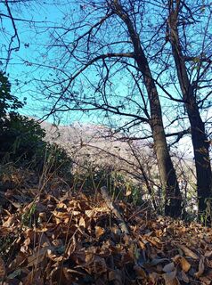 Fotografija s spletne strani Paolo Paganini na poti