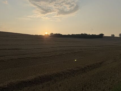 Foto von Schaali entlang der Tour