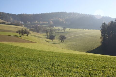 Obere Zeil Pöllauberg_NUP Pöllauer Tal_Oststeiermark