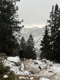 Foto de Leon a lo largo del recorrido