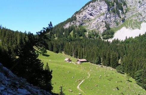 Alp Zwüschet Mythen
