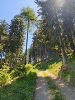 Foto von sergio 8 entlang der Tour
